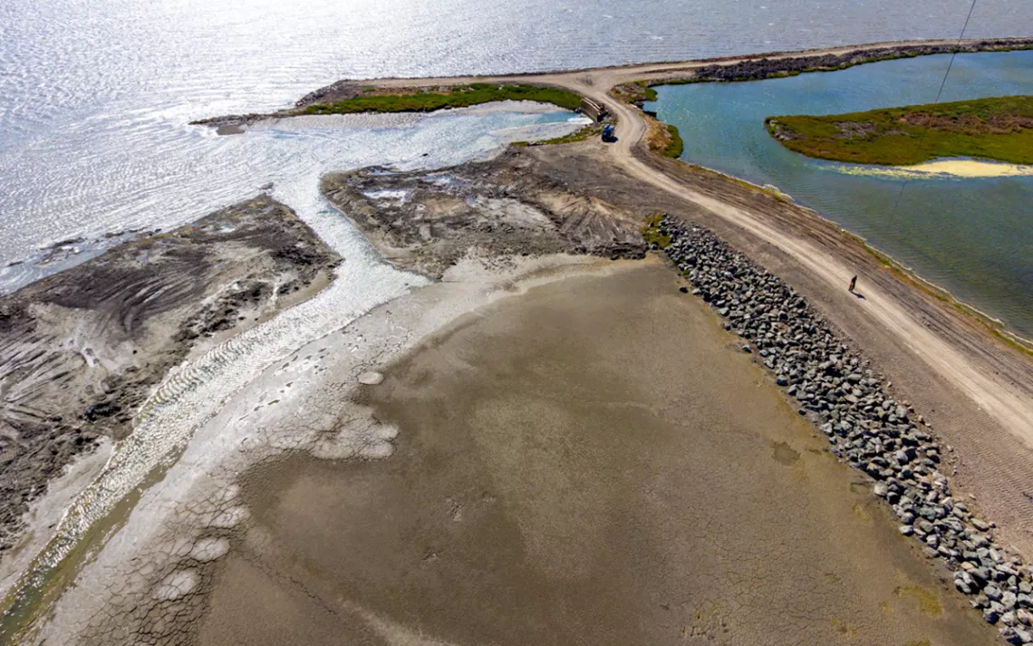 A tidal marsh meeting the Pacific Ocean