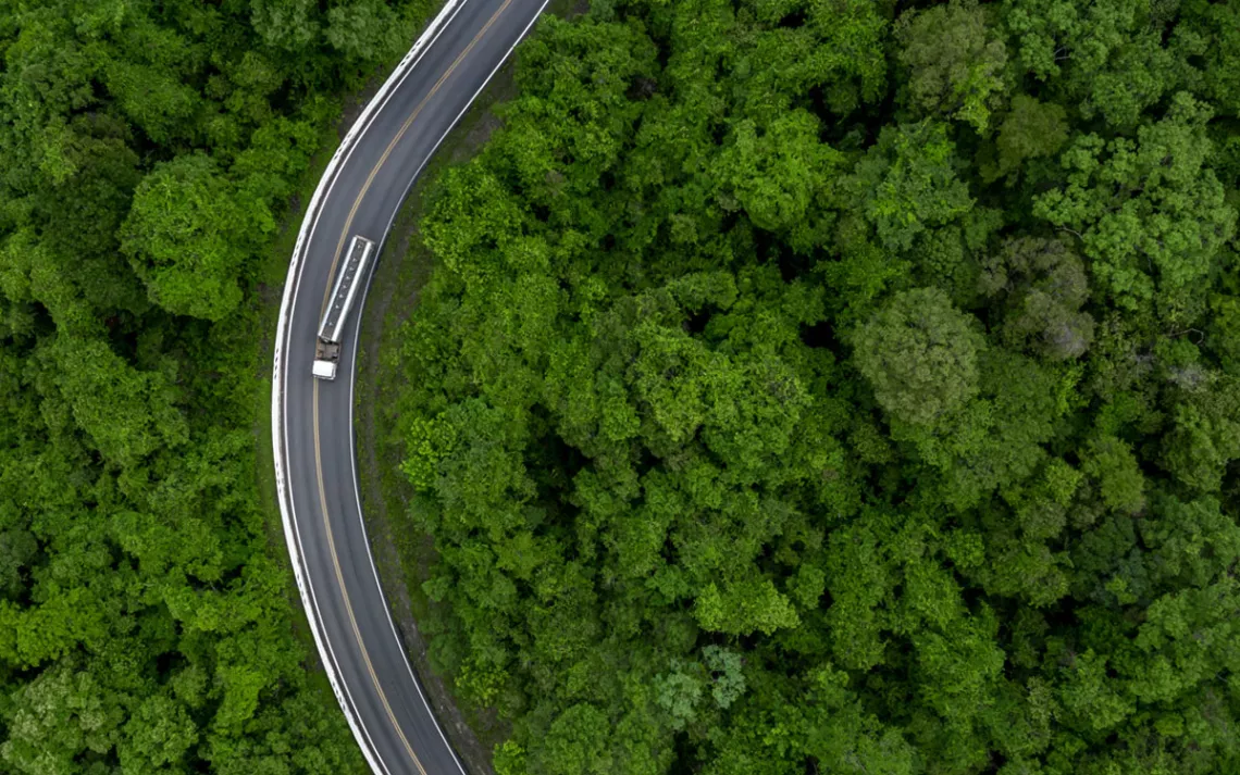 An aerial view of a forest fragmented by a road.
