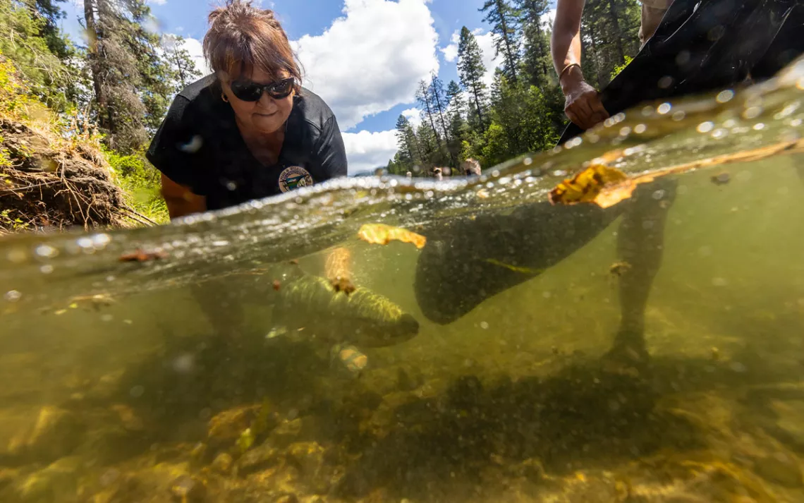 Photo by David Moskowitz