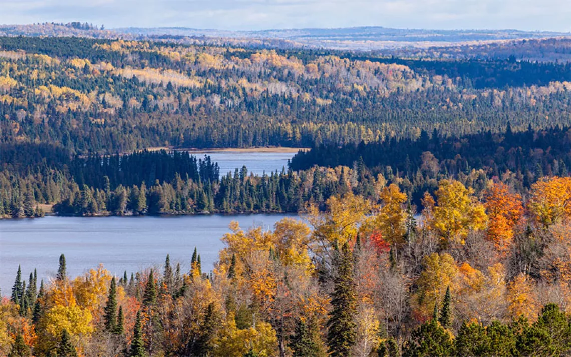 Aerial photo of Superior National Forest with fall colors and set against lake shores