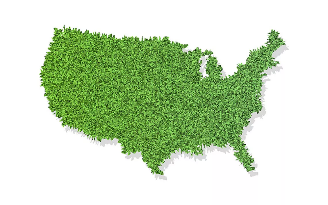 green USA map