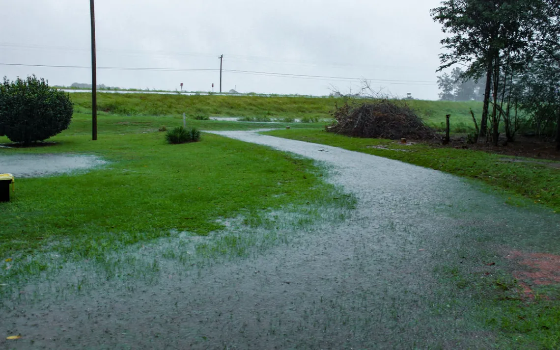 Timothy Williams yard during rain.