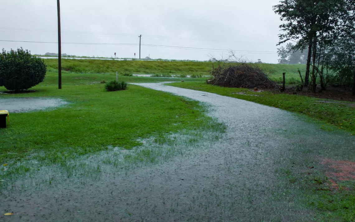 Timothy Williams yard during rain.