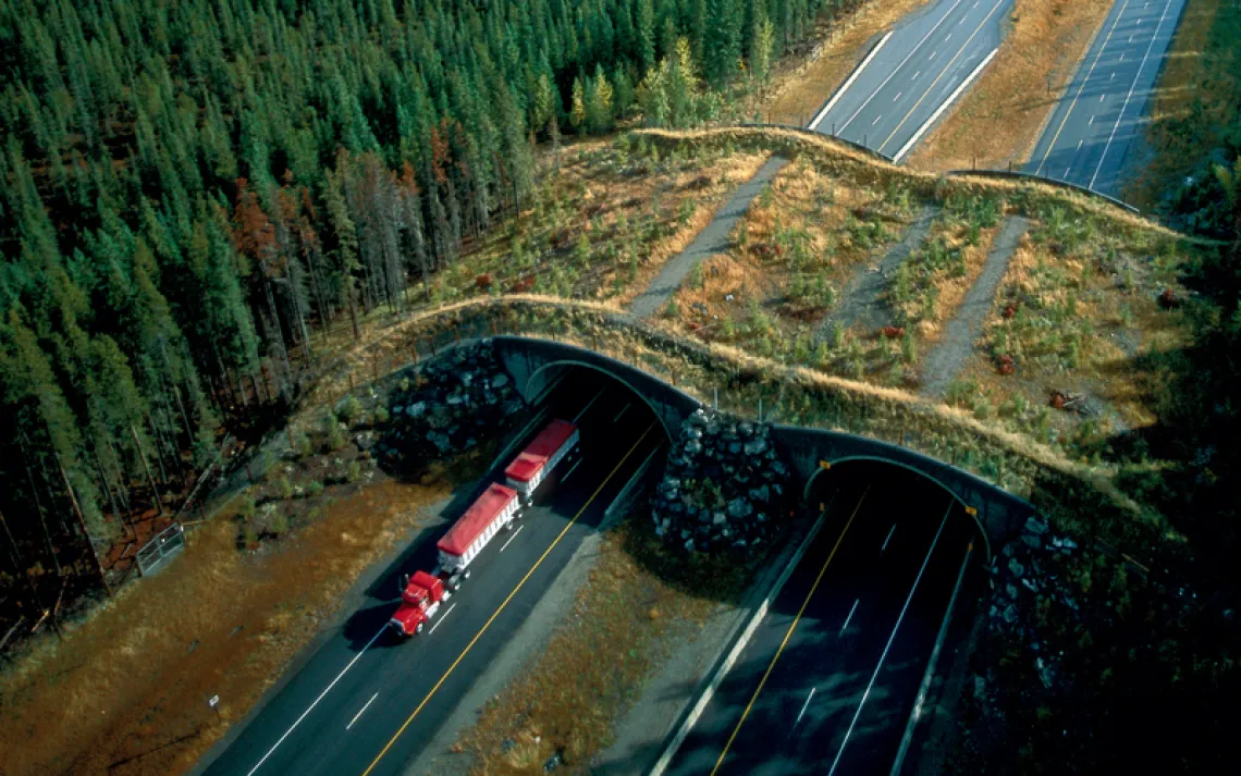 Aerial photo shows two two-lane highways and a curved grassy overpass surrounded by dark-green trees on both sides. A large truck with a red top is coming through a tunnel.