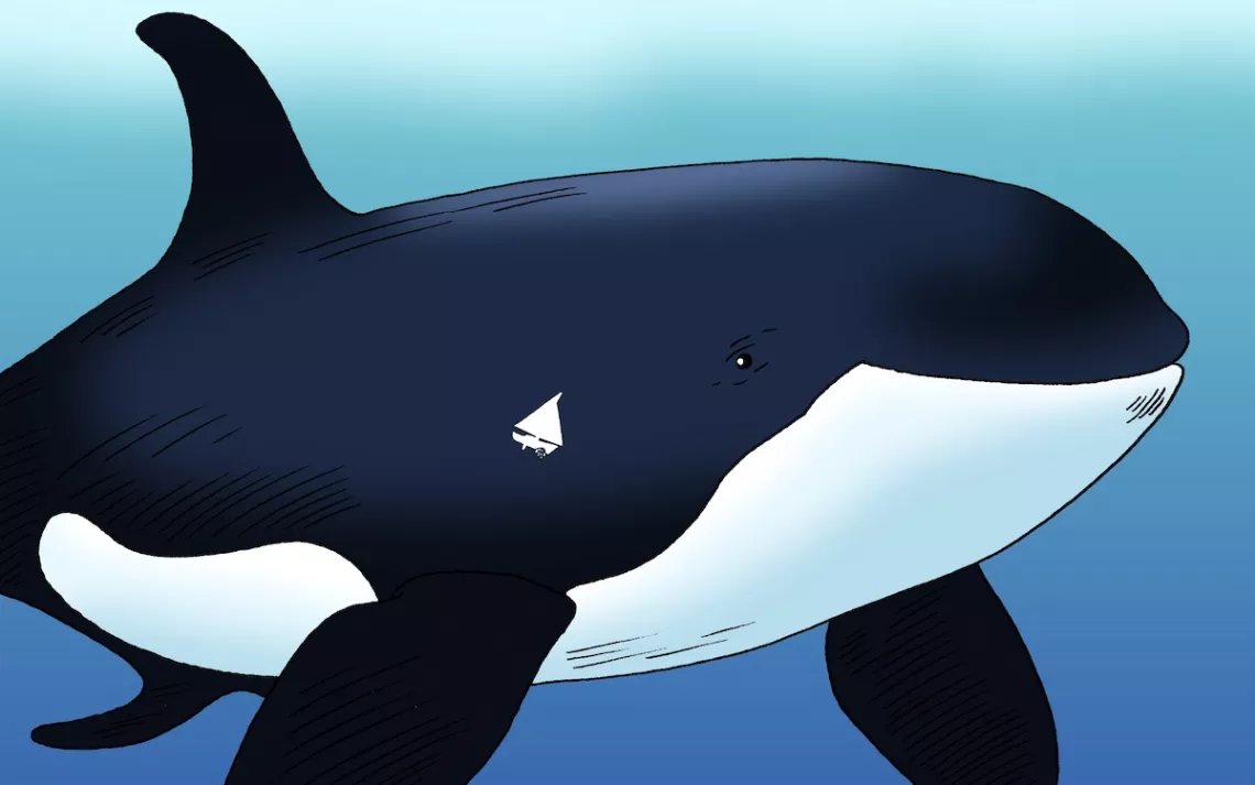 Illustration by Peter Arkle