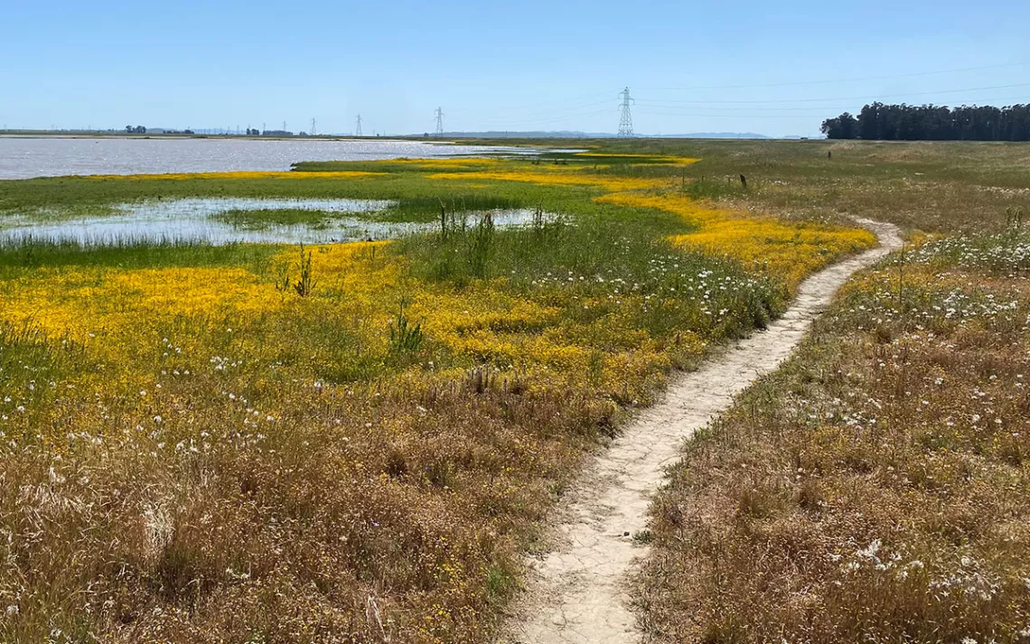 A Billionaire-Backed City Promises to Be a Green Urban Paradise | Sierra  Club