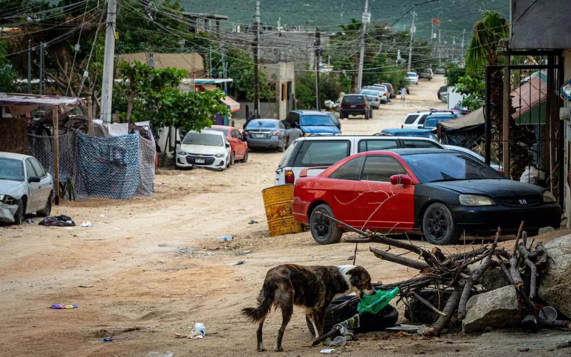 Photos by Kristina Blanchflower