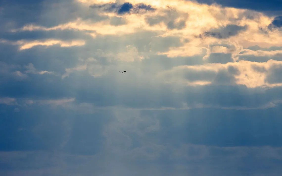 A bird flies across rays of sun coming out of a cloud.