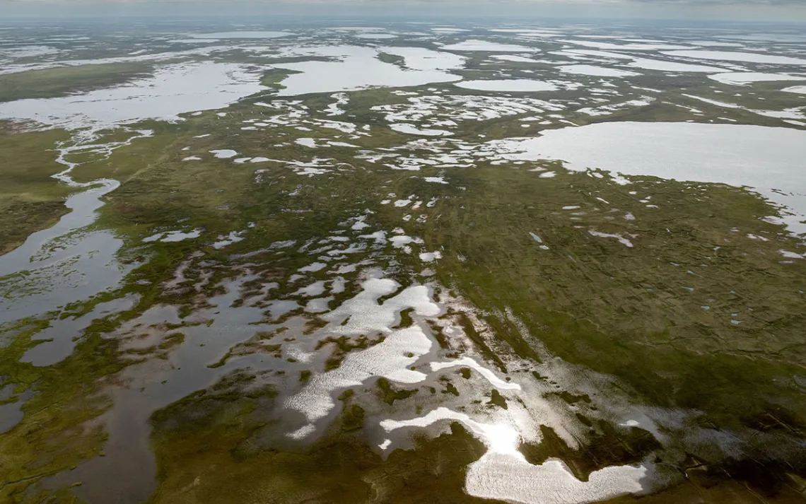 An aerial photo of the Teshekpuk Lake Special Area shows a green wetland spotted and the sun reflecting off bodies of water.