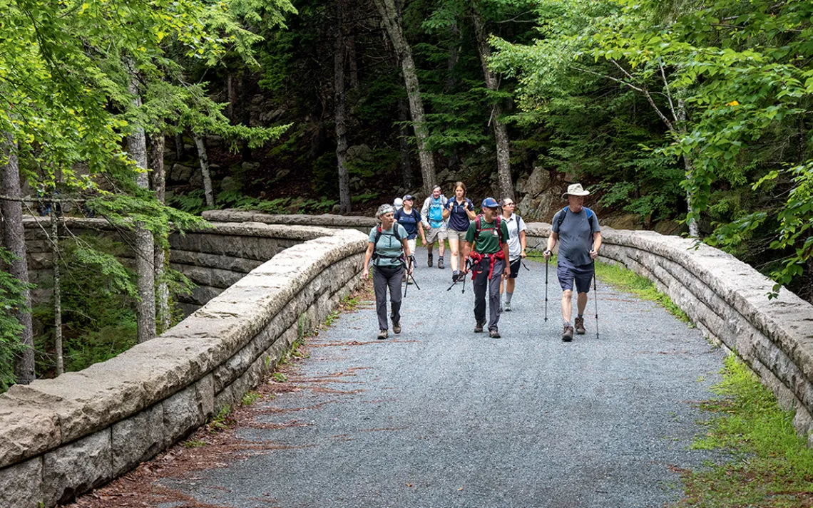 Eight people walk across a bridge toward the camera wearing backpacks and walking sticks, with trees on both sides of the bridge.