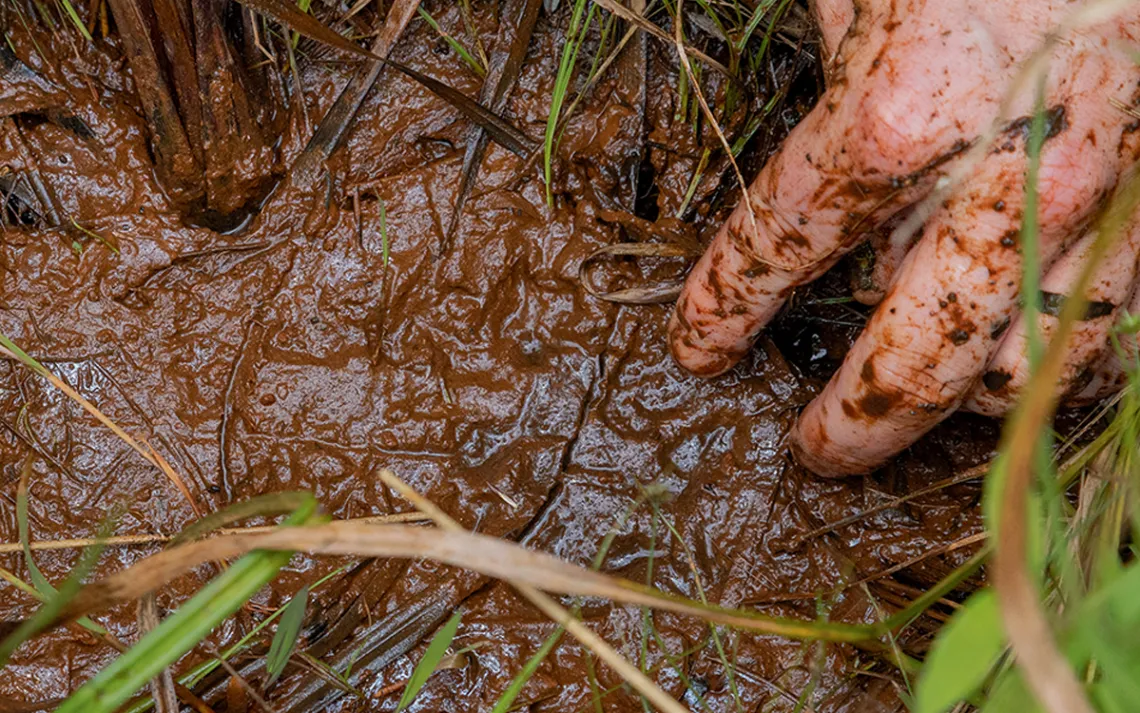 Brian Dempsey reaches into a patch of mud.