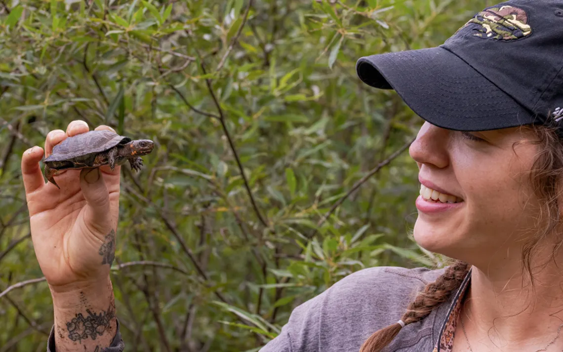 Emilly Nolan wears a ballcap and smiles as she holds up a bog turtle with orange flecks on its neck.
