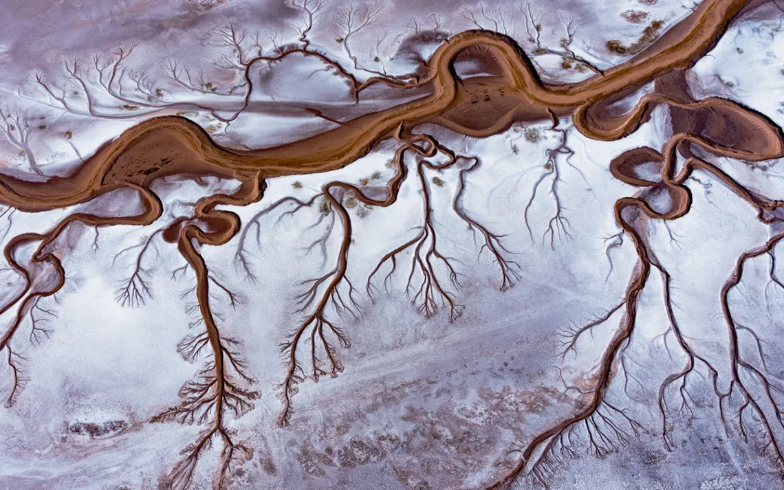 Aerial photo of the salty Colorado River delta, with tendrils that look like tree branches against snow.