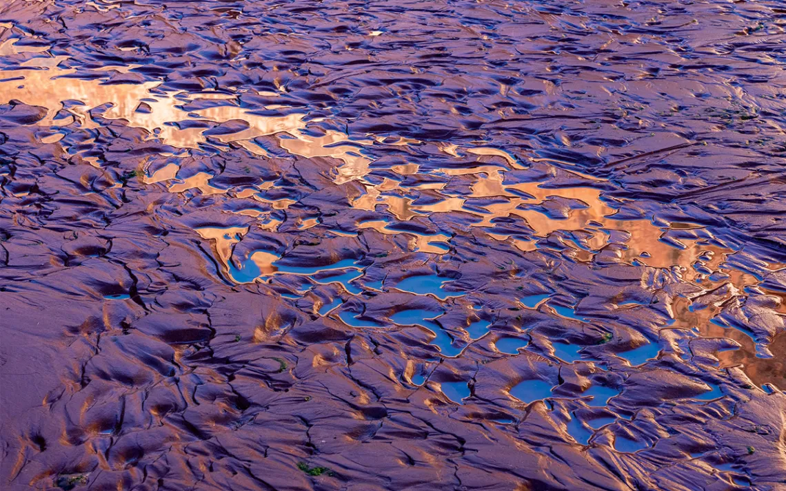 A mottled river bottom with light reflecting off tiny pools of water.