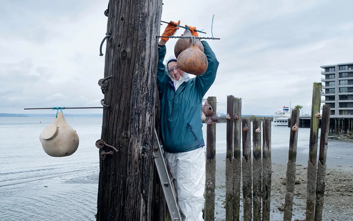 A woman wearing cold-weather clothes reaches up to get a gourd off a pole next to the water