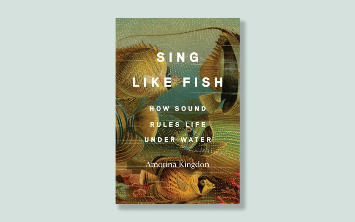 Sing Like Fish