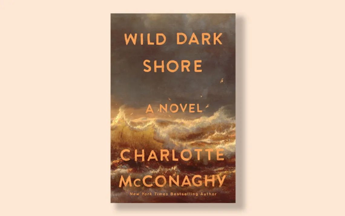 Wild Dark Shore