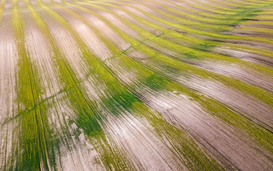 Photo by Daniel Balakov/Getty Images