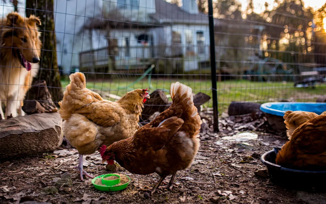 Photo by Cavan Images via Getty Images