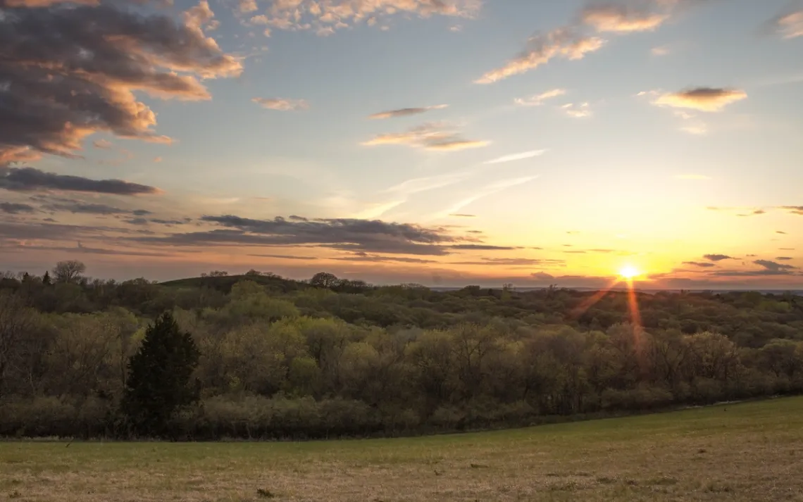 Photo by xuan M / Getty Images