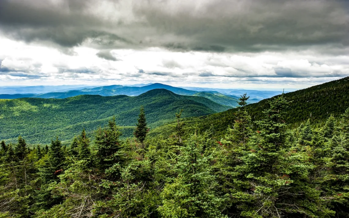 Photo by Judd Brotman/iStock