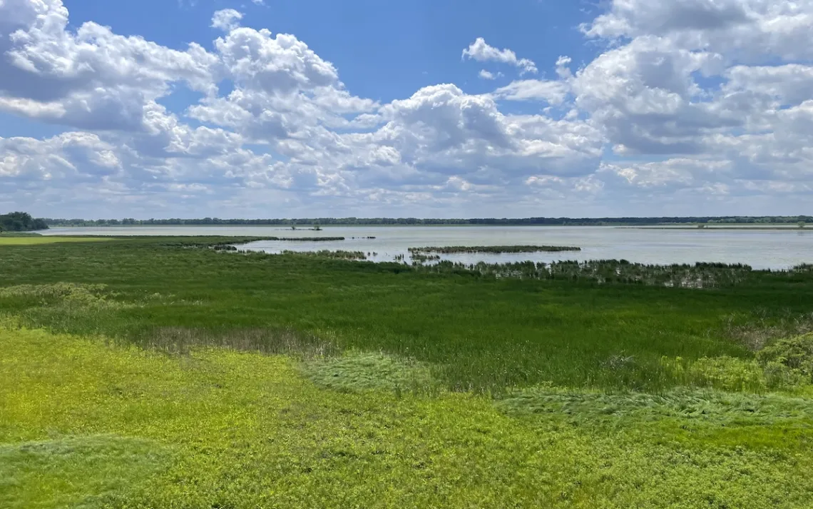 The Sue and Wes Dixon Waterfowl Refuge 