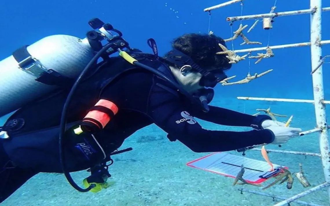 Photo courtesy of Holden Harris