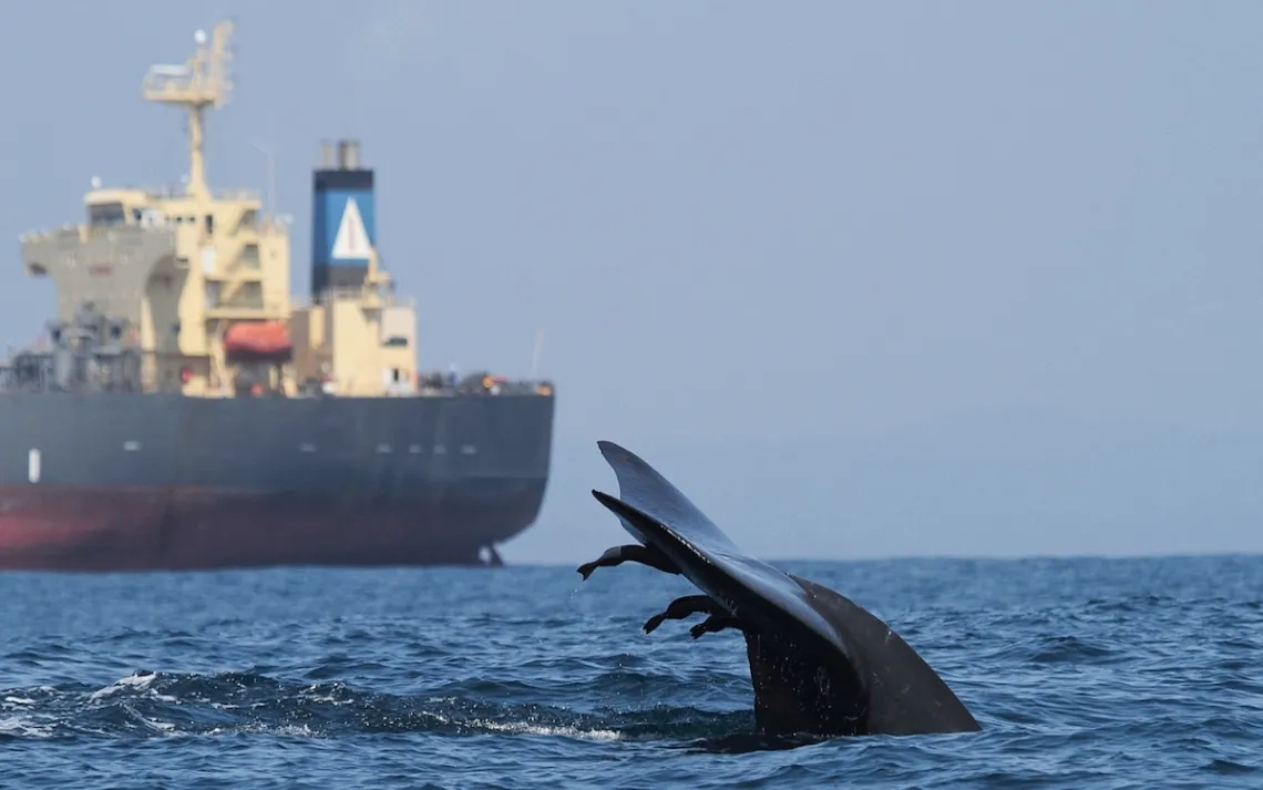 Photo by Asha De Vos