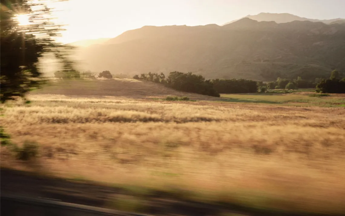 Blurry photo taken from a car shows a field of dried grass with forested mountains in the background.