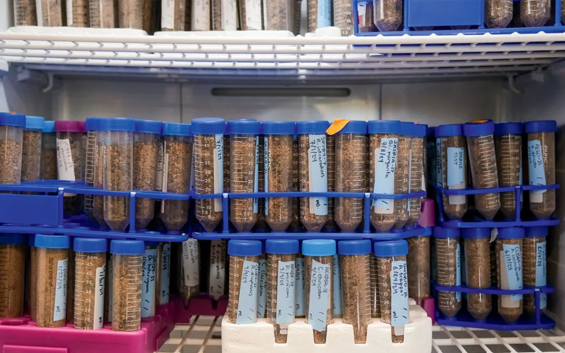 Dozens of labeled plastic tubes are stacked together on a shelf.