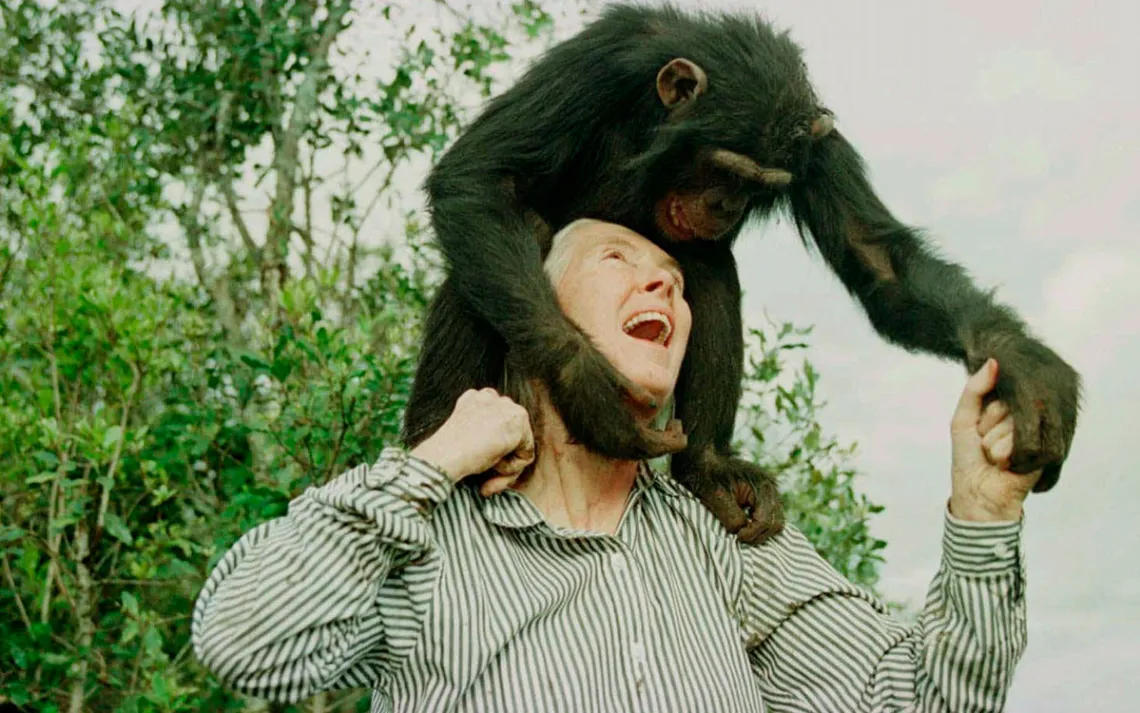 Photo by Jean-Marc Bouju/AP