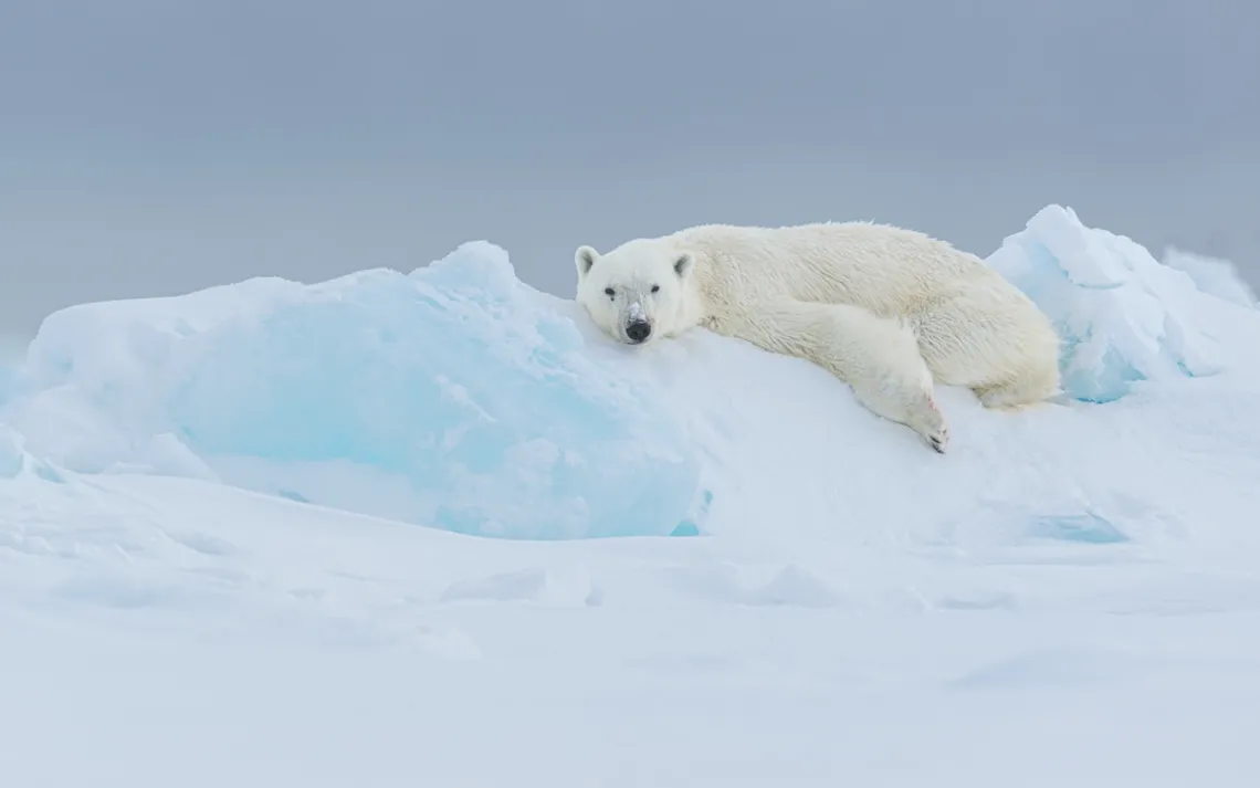 Photo by Gerrit Vyn
