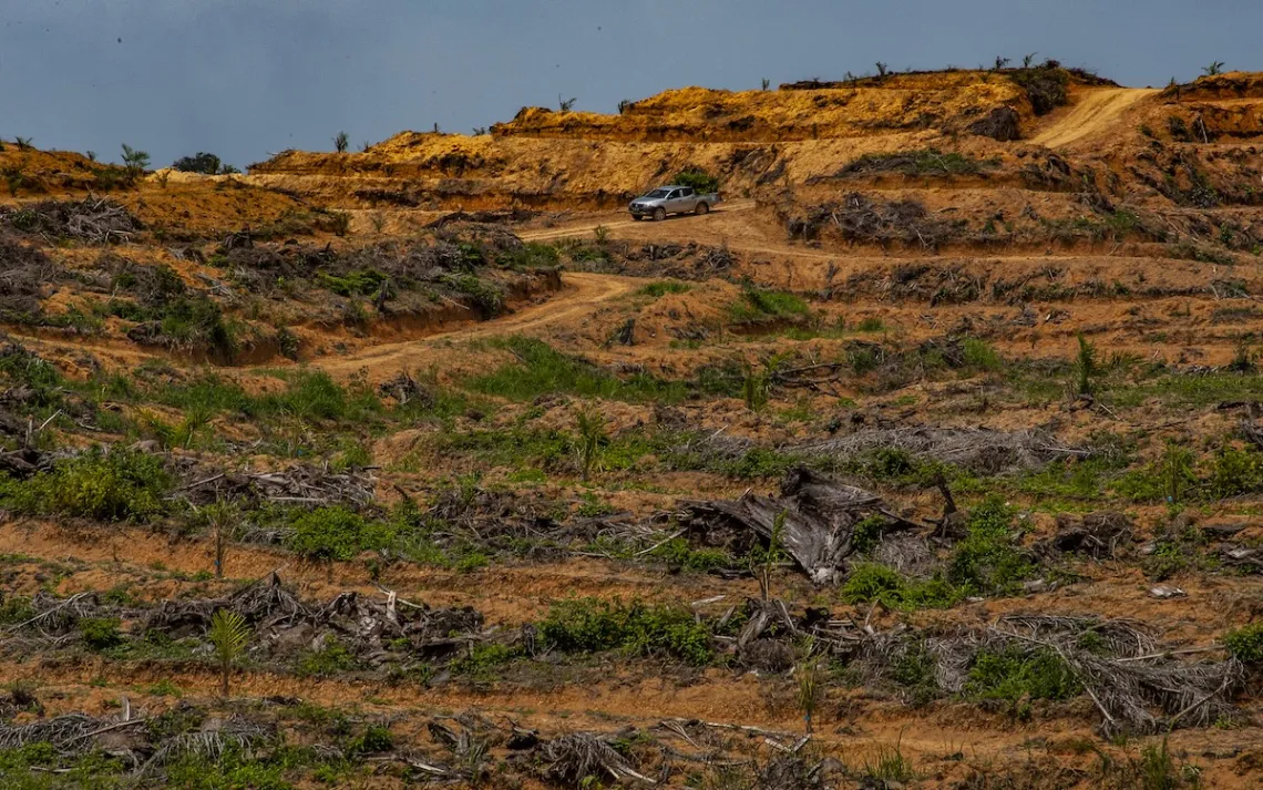Photo by Sutanta Aditya/AP