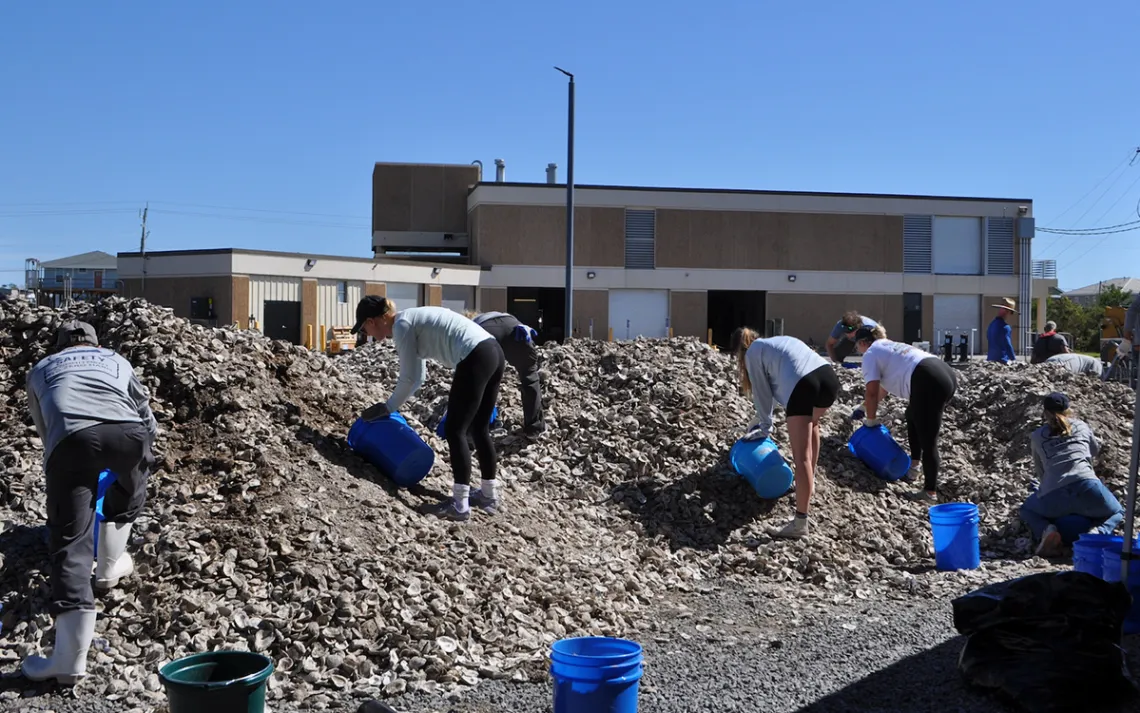 Photo courtesy of Reese Anderson