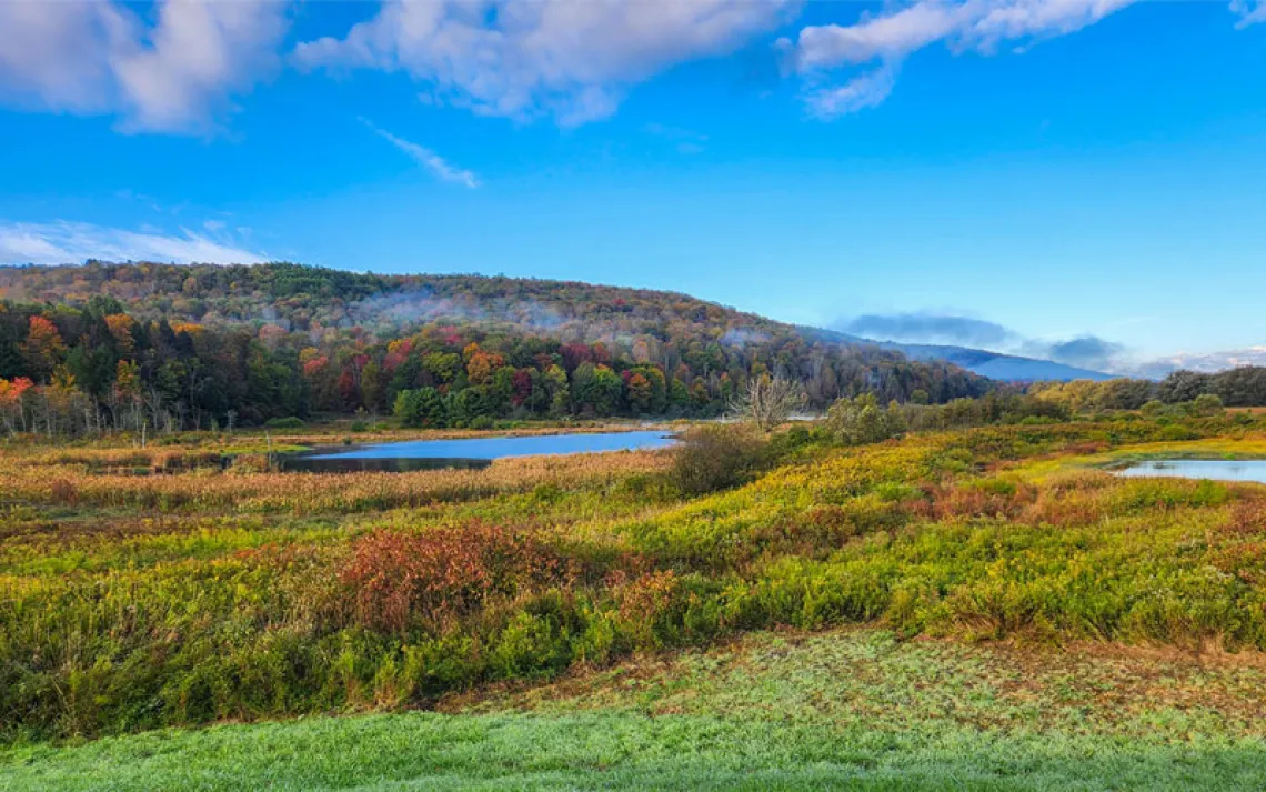 Allegheny Mountains, Pennsylvania in autumn, with ponds in the center of the image. 