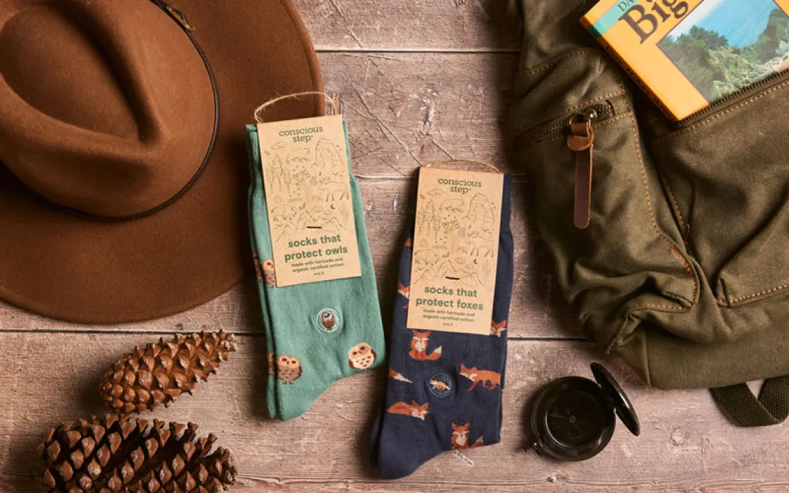 Photo courtesy of Conscious Step