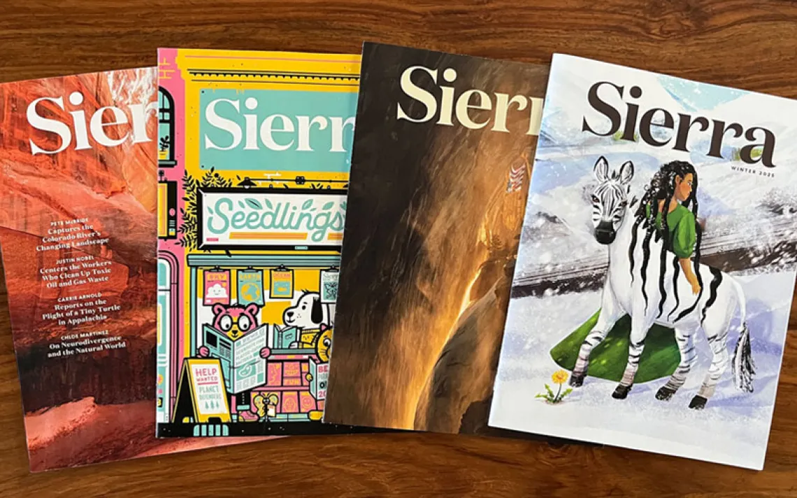 Sierra Covers
