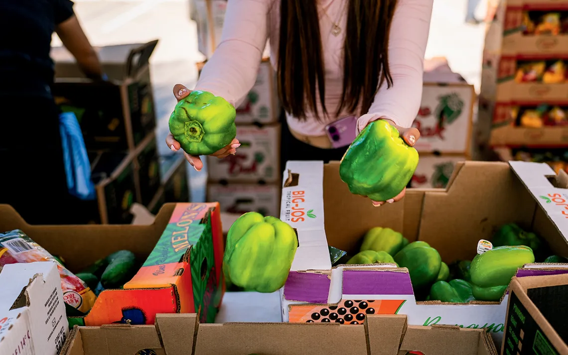 A woman with long brown hair is surrounded by cartons of produce and holds out some bell peppers.