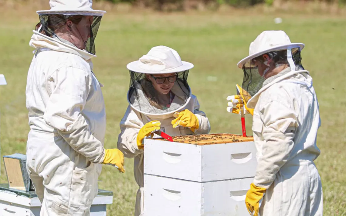 kids attend to bee hives on their school grounds