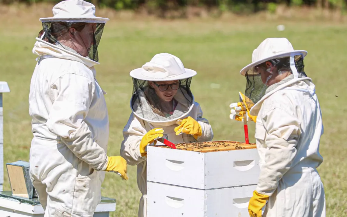 kids attend to bee hives on their school grounds
