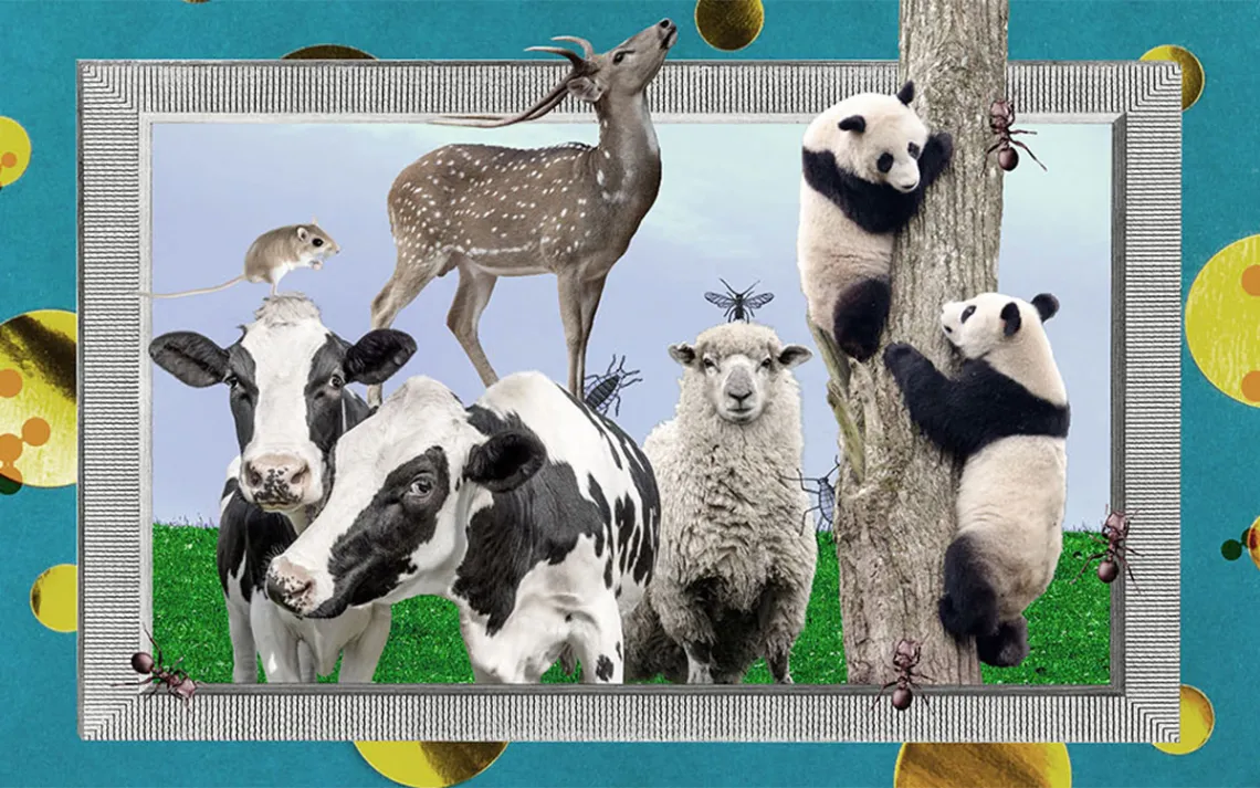 Illustration courtesy of Knowable Magazine