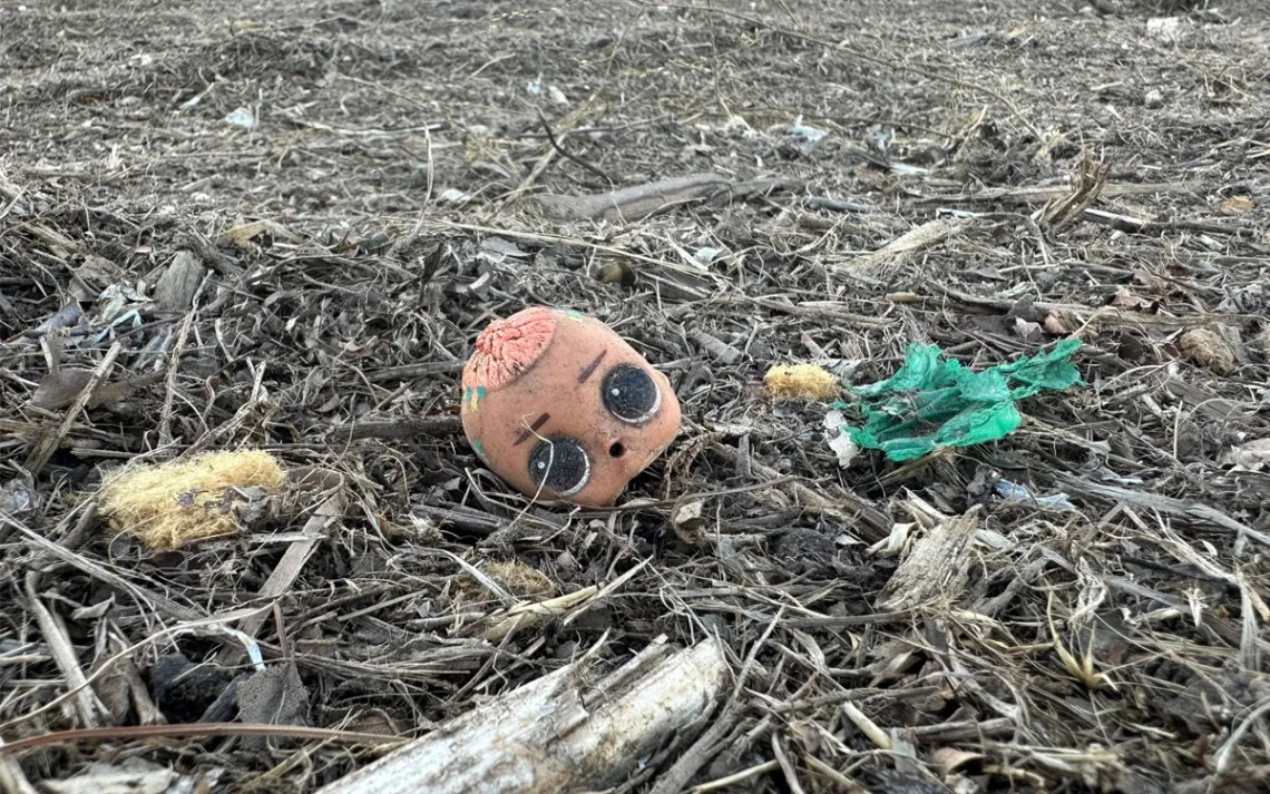 A dolls head sits on top of mulch in a field. 
