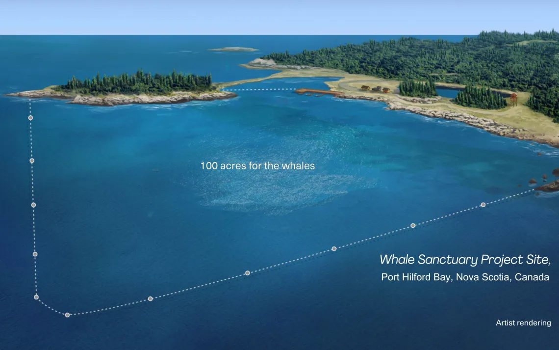 An aerial photo of the whale sanctuary in Canada, with artists rendering that outlines its borders.
