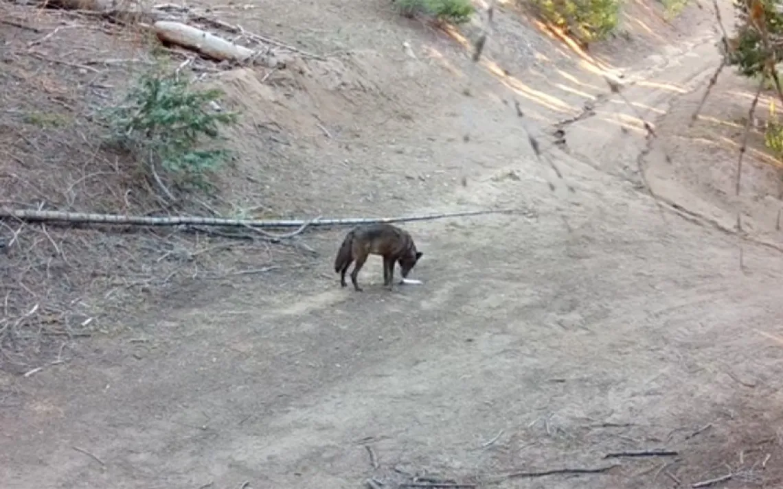 Photo courtesy of the State of California