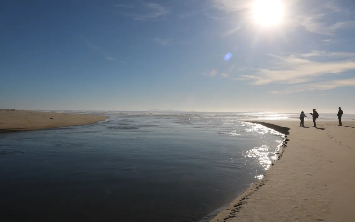 Photo by Wendee Nicole