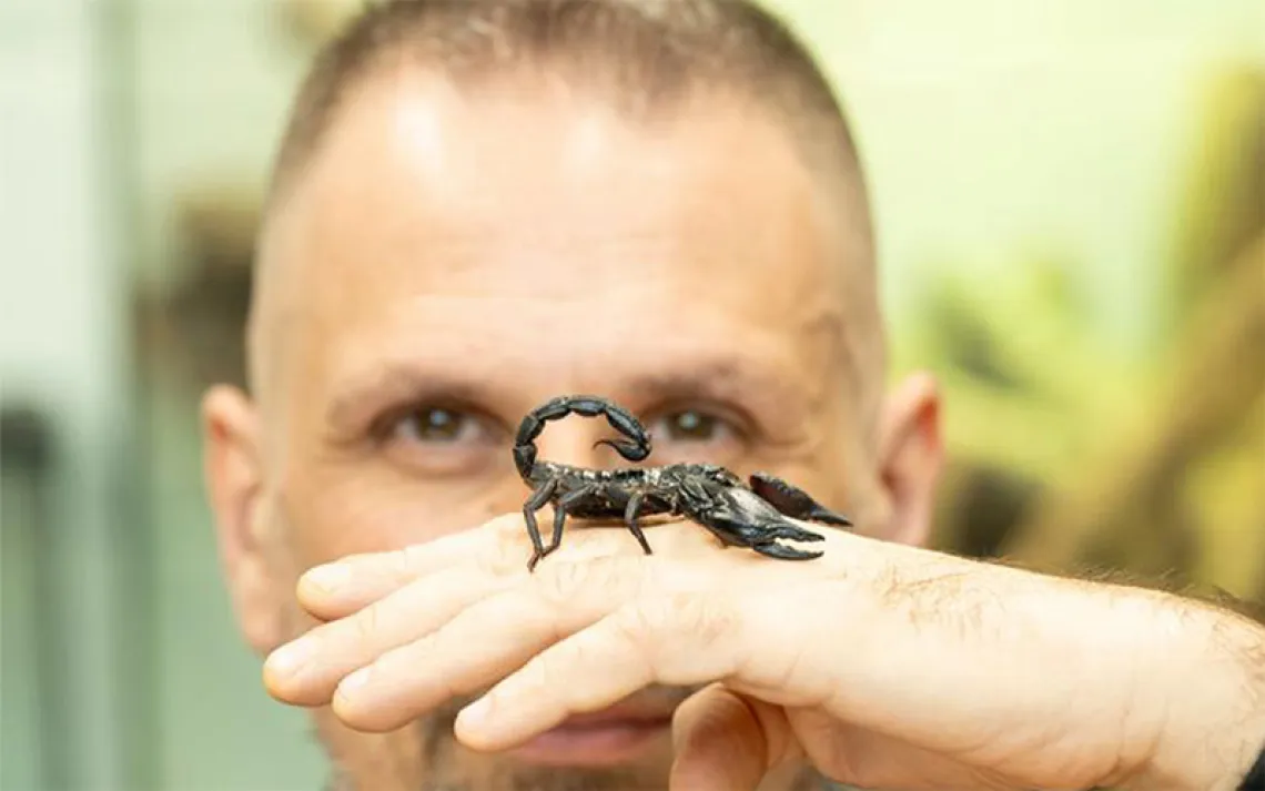 Photo courtesy of Andrew Downes, Xposure