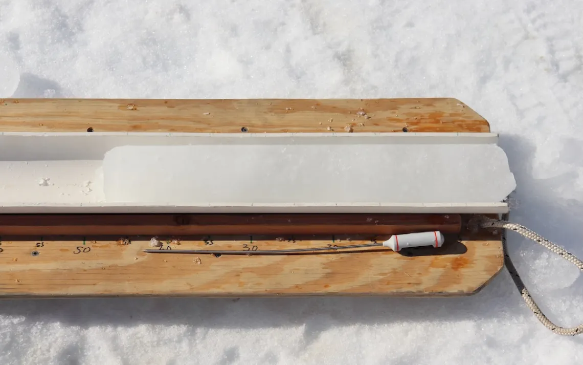 Photo courtesy of Tricia Thibodeau