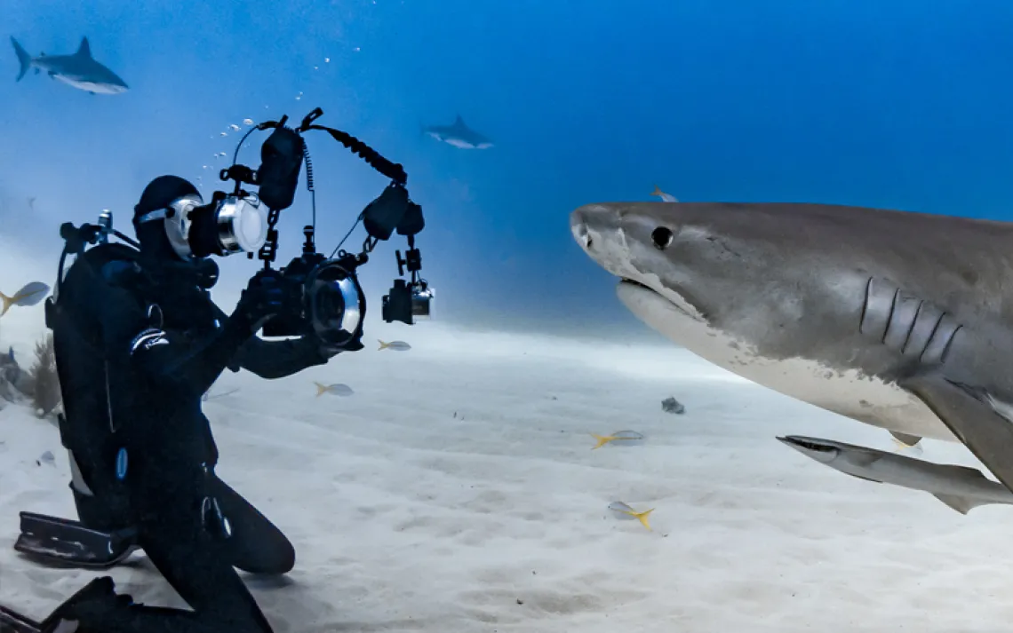 Photo by Tanya Houppermans 