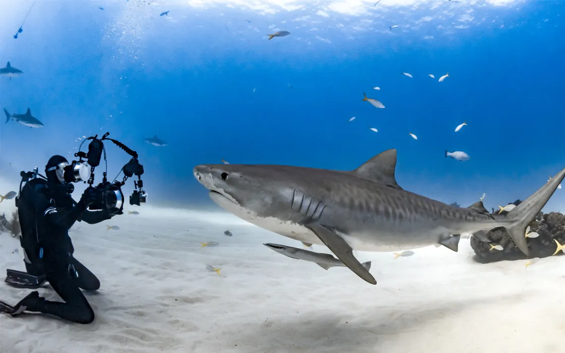 Photo by Tanya Houppermans 