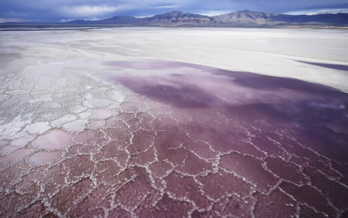 Photo by Rick Bowmer/AP